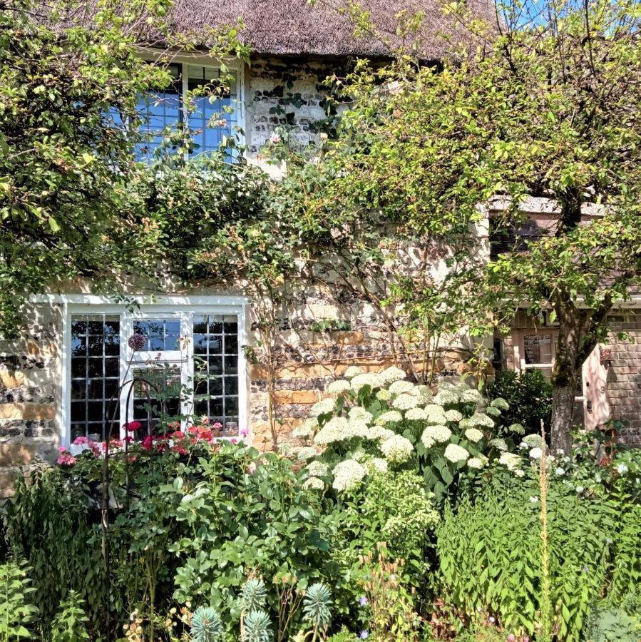Tudor Cottage B&B Frampton Dorchester Exteriör bild