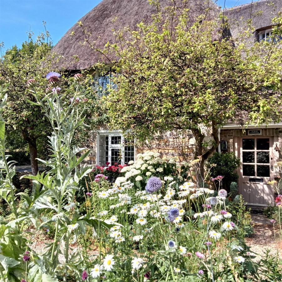 Tudor Cottage B&B Frampton Dorchester Exteriör bild