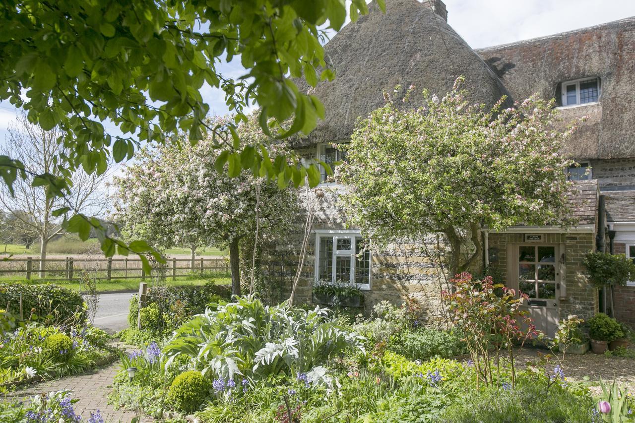 Tudor Cottage B&B Frampton Dorchester Exteriör bild